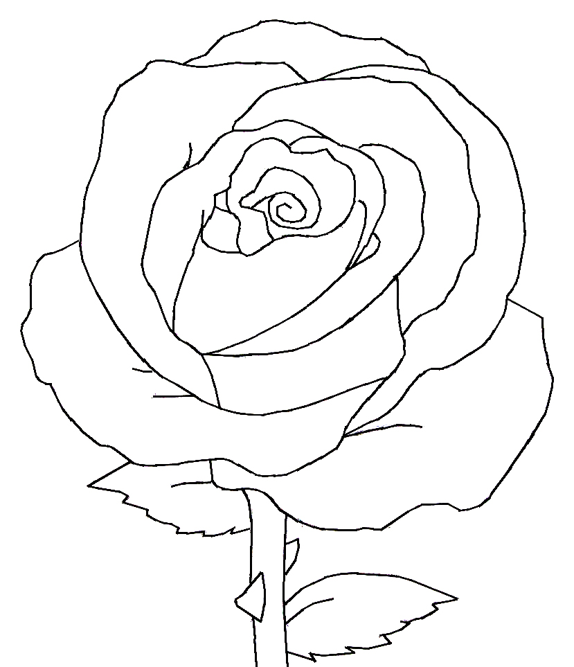 Line Drawing Of A Rose