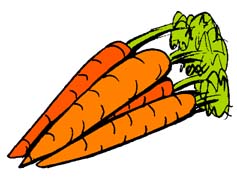 Bunch of carrots clipart