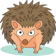 Free Hedgehog Clipart Pictures