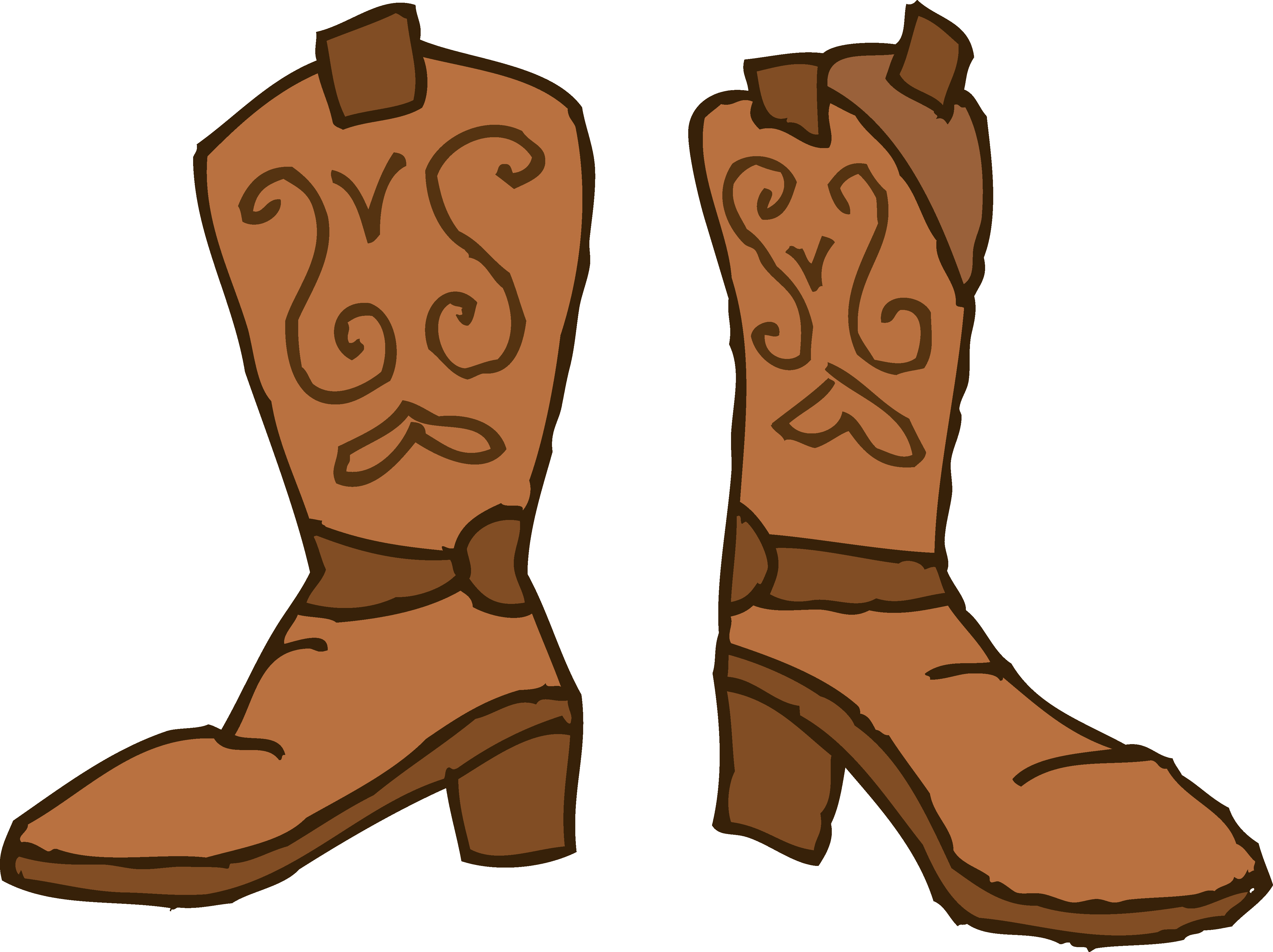 Cowboy Boots Image