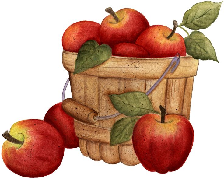 Free Autumn Basket Cliparts, Download Free Clip Art, Free