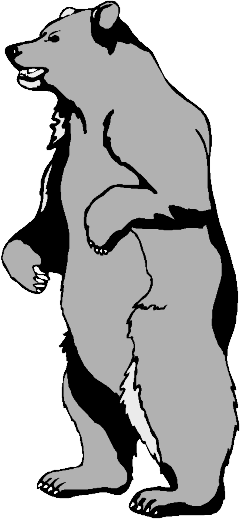 Standing Angry Bear Drawing