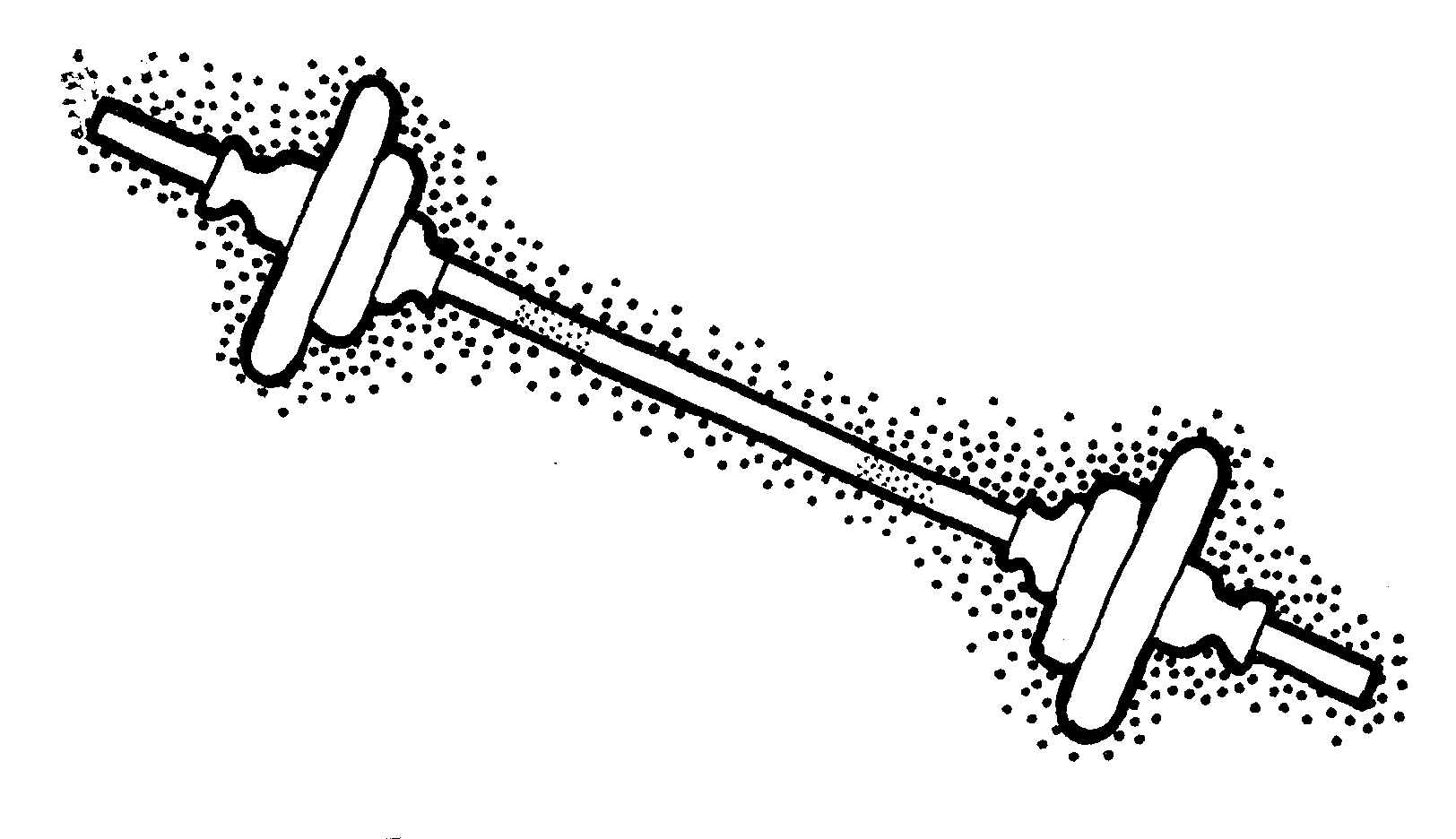 Pictures Of Barbells