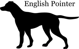 English Pointer Clipart Image