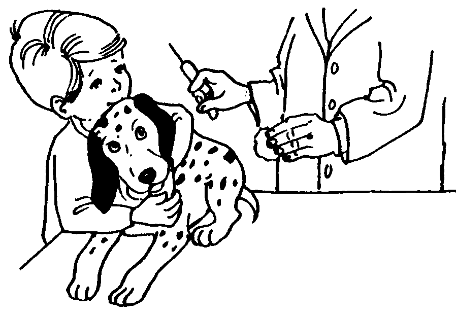 veterinarians with animals clipart image