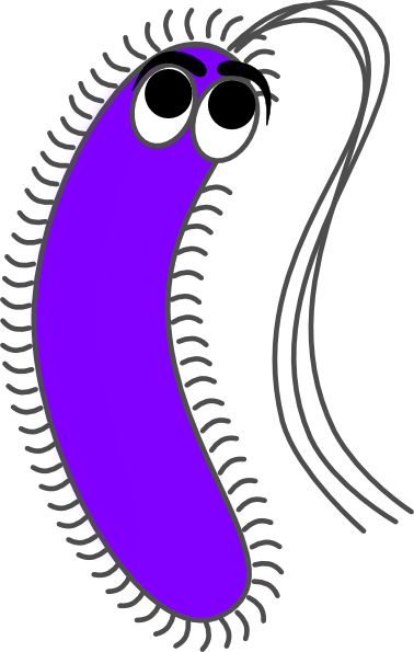 Bacteria Clipart