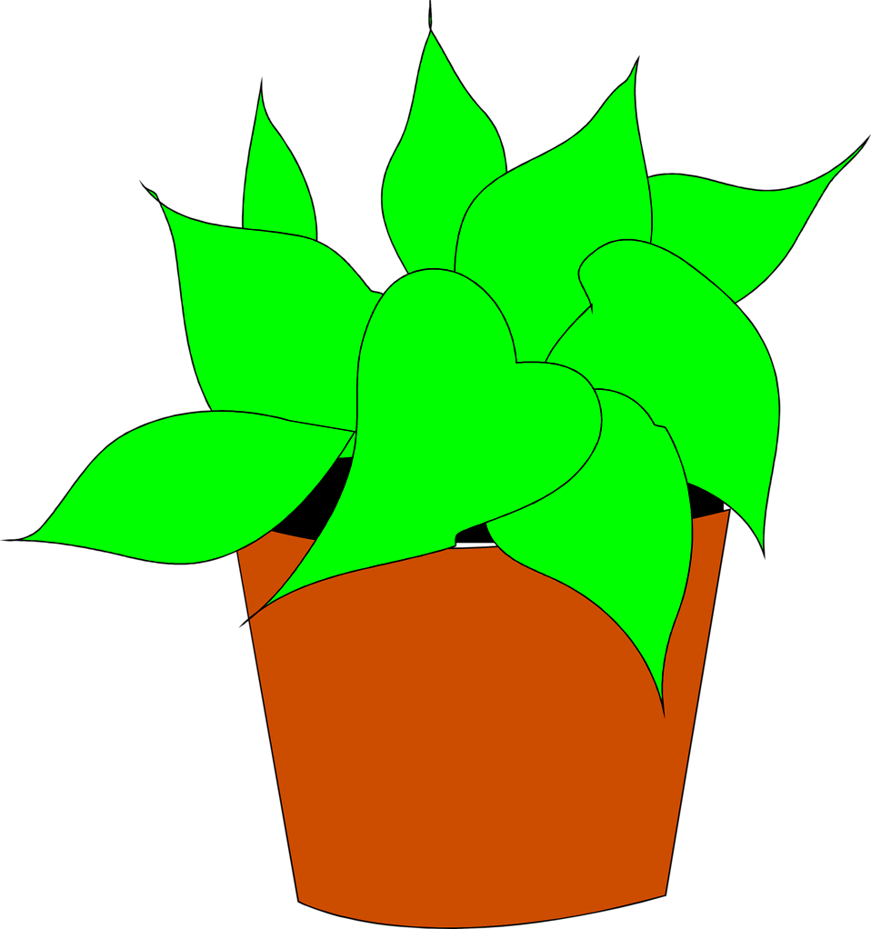 Flowering House Plant Clipart