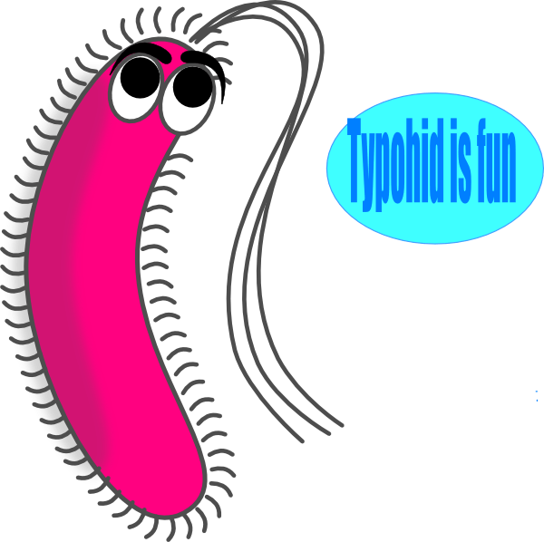 Cartoon Bacteria