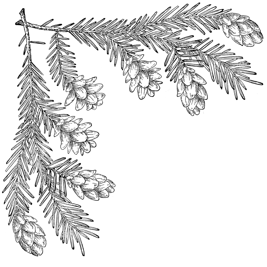 Tree motif clipart
