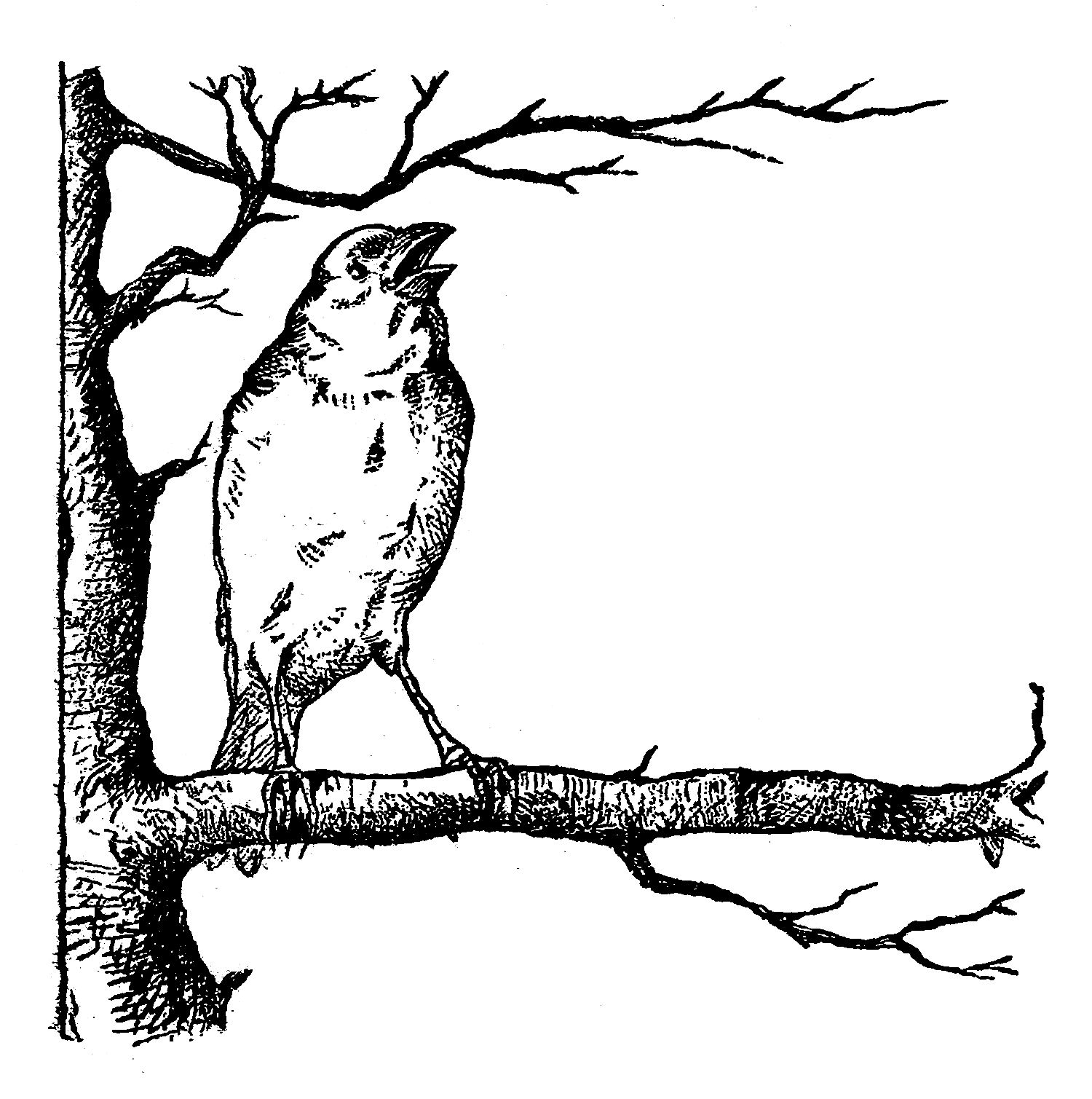 Digital Stamp Design: Bird Tree Digital Download Corner Design