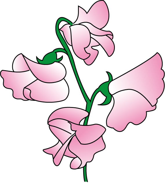 Sweet Pea Flower Clip Art Clip Art Library