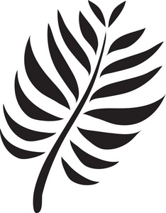 Fern Clipart Image