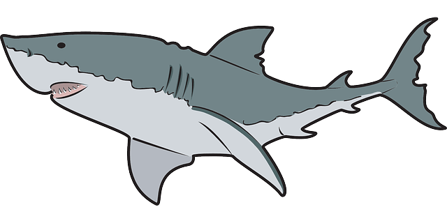 Free to Use  Public Domain Shark Clip Art
