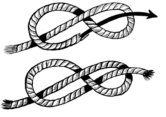 Knot Clipart