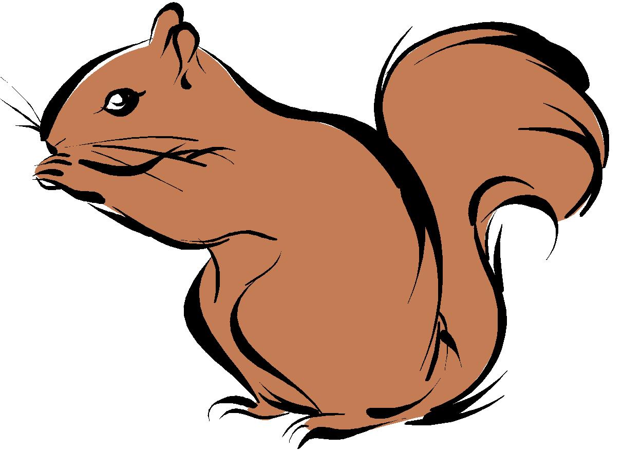 Squirrel clip art free