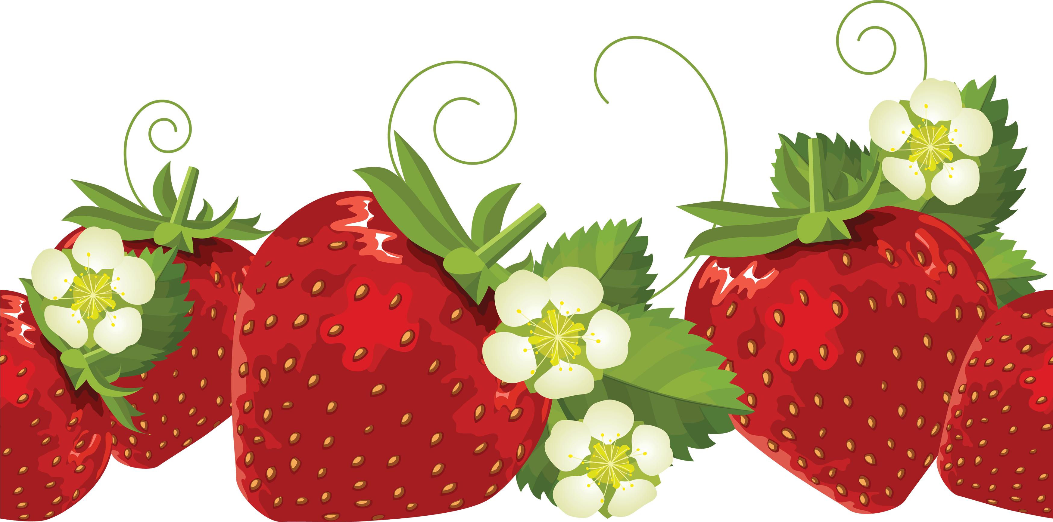 Free Strawberry Leaf Cliparts Download Free Strawberry Leaf Cliparts 