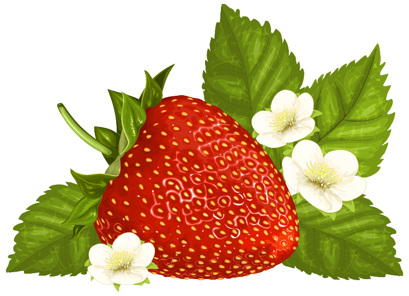 Strawberry PNG Clipart Image
