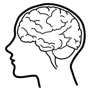 Brain In Head Clipart