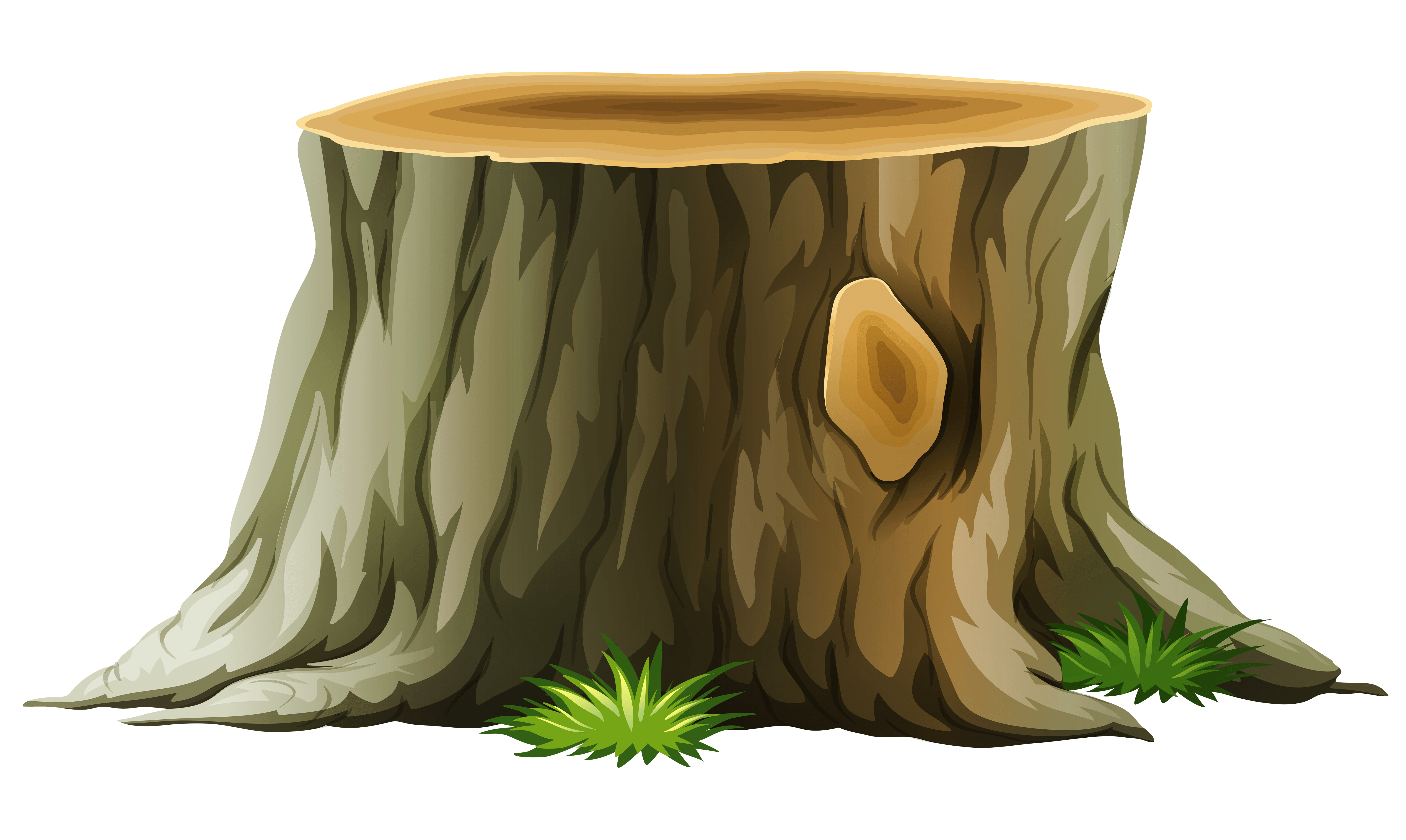 Tree Trunk Cartoon Images At Irene Troyer Blog Tree Trunk Cartoon Images At Irene Troyer Blog