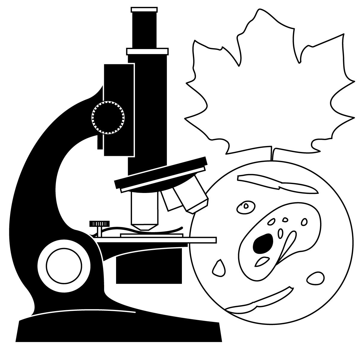 Science class clipart black and white