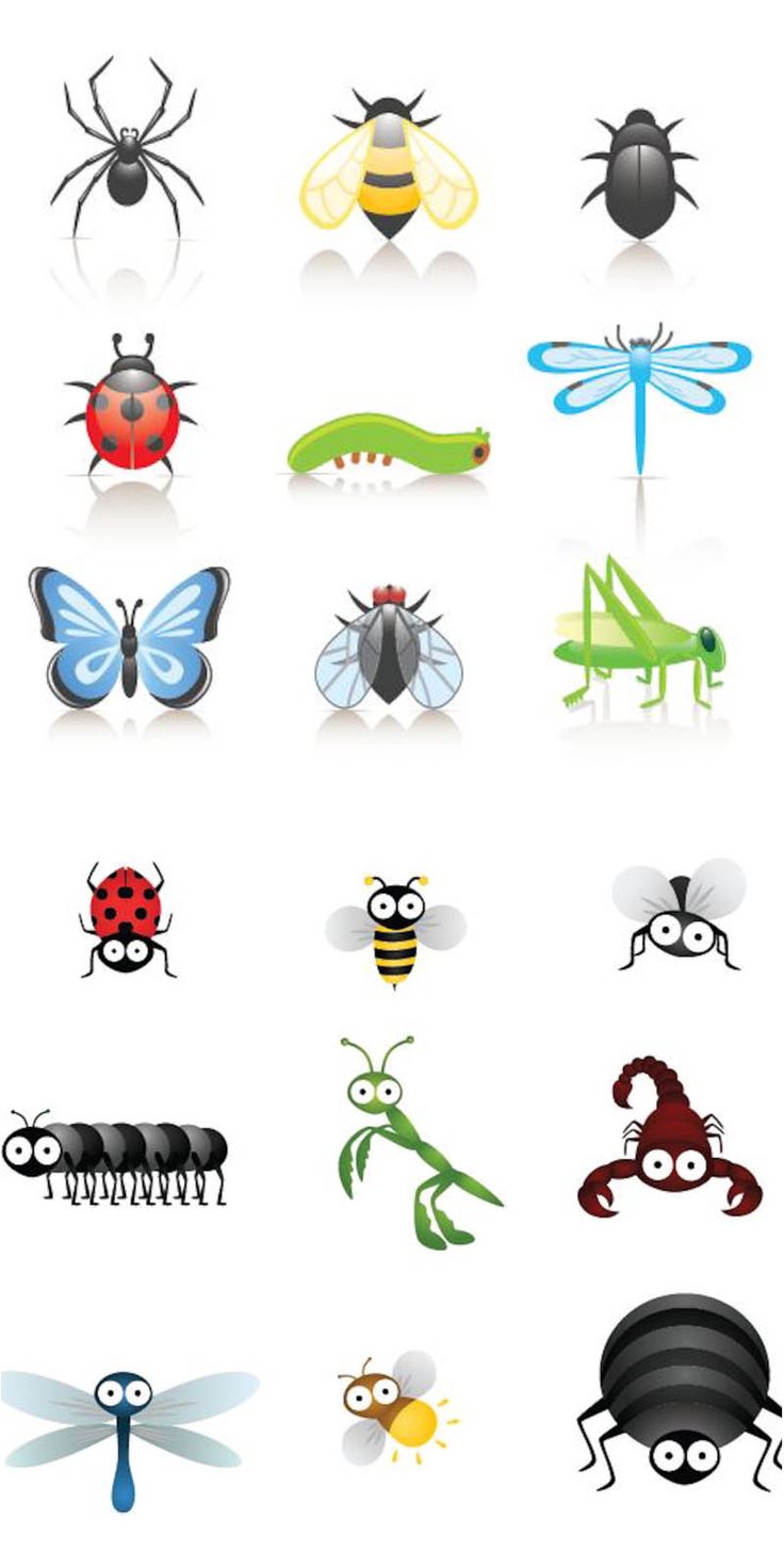 Free Printable Bugs Cliparts, Download Free Printable Bugs Cliparts png