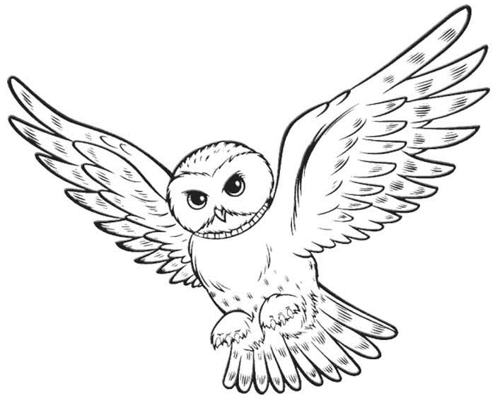 Owl Post Harry Potter Clipart