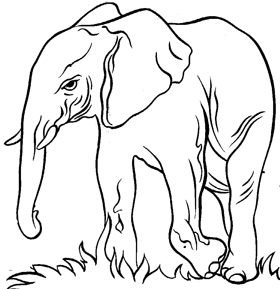 elephant clipart outline - Clip Art Library