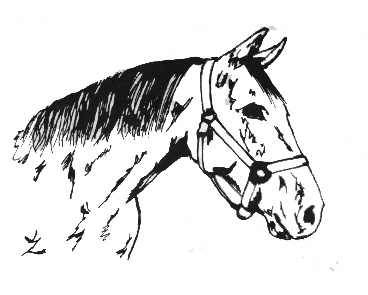 Equine Clipart by Kristen