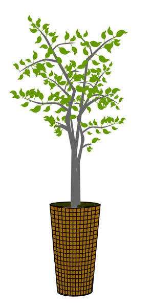 Indoor potted tree clipart