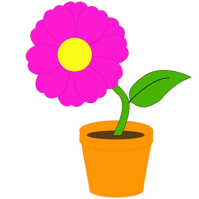 Flowering House Plant Clipart