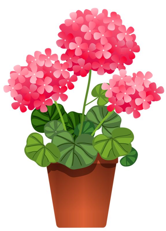 Clipart plants and flowers
