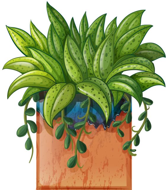 Clip Art of beautiful plants for the spring garden