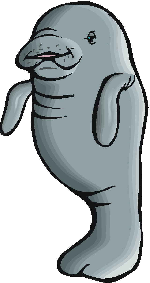 Free Manatee Cliparts, Download Free Manatee Cliparts png images, Free