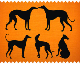 greyhound clipart – Etsy