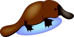Free Platypus Clip Art Image: