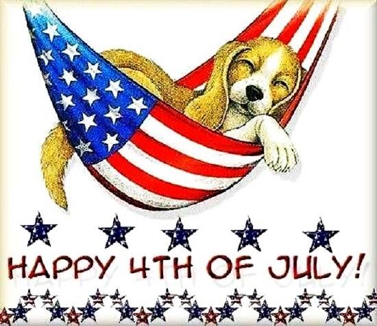 Happy Independence Day! It&a dogs life... Happy 4th of July Clip