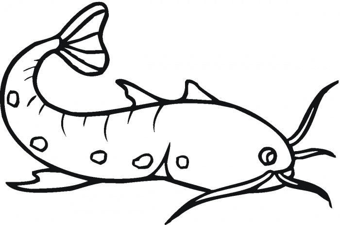catfish clip art