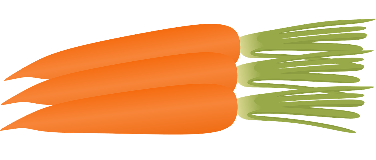 Free to Use  Public Domain Carrot Clip Art