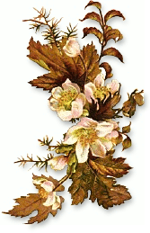 Fall Flower Pot Clipart