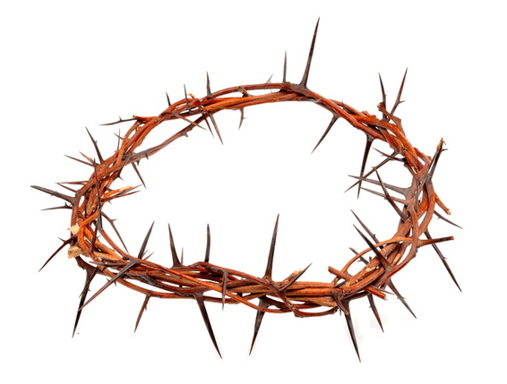 Jesus Real Crown Of Thorns