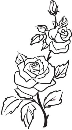 Traditional Rose Outline Drawing