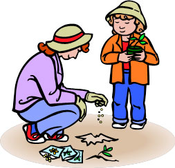 Clipart planting seeds