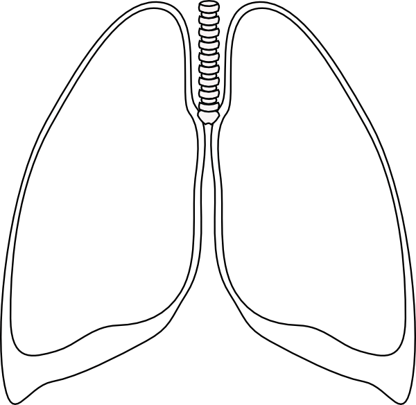 free-lungs-outline-cliparts-download-free-lungs-outline-cliparts-png