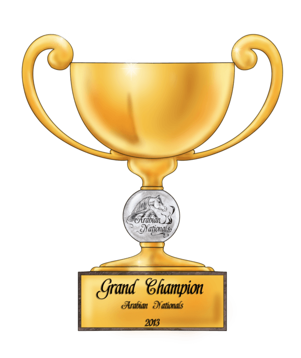 Free Champion Trophy Cliparts, Download Free Champion Trophy Cliparts