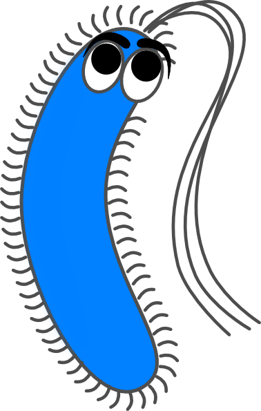 Cartoon Bacteria