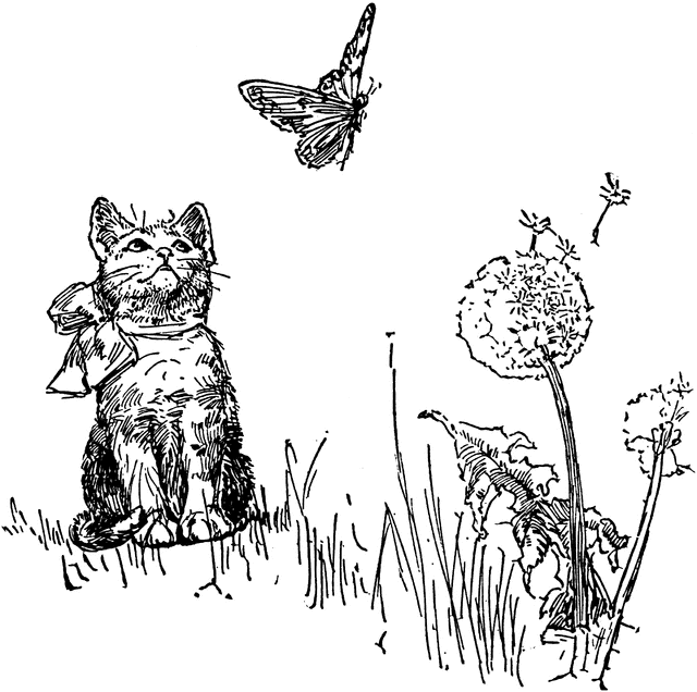Cat Watching Butterfly