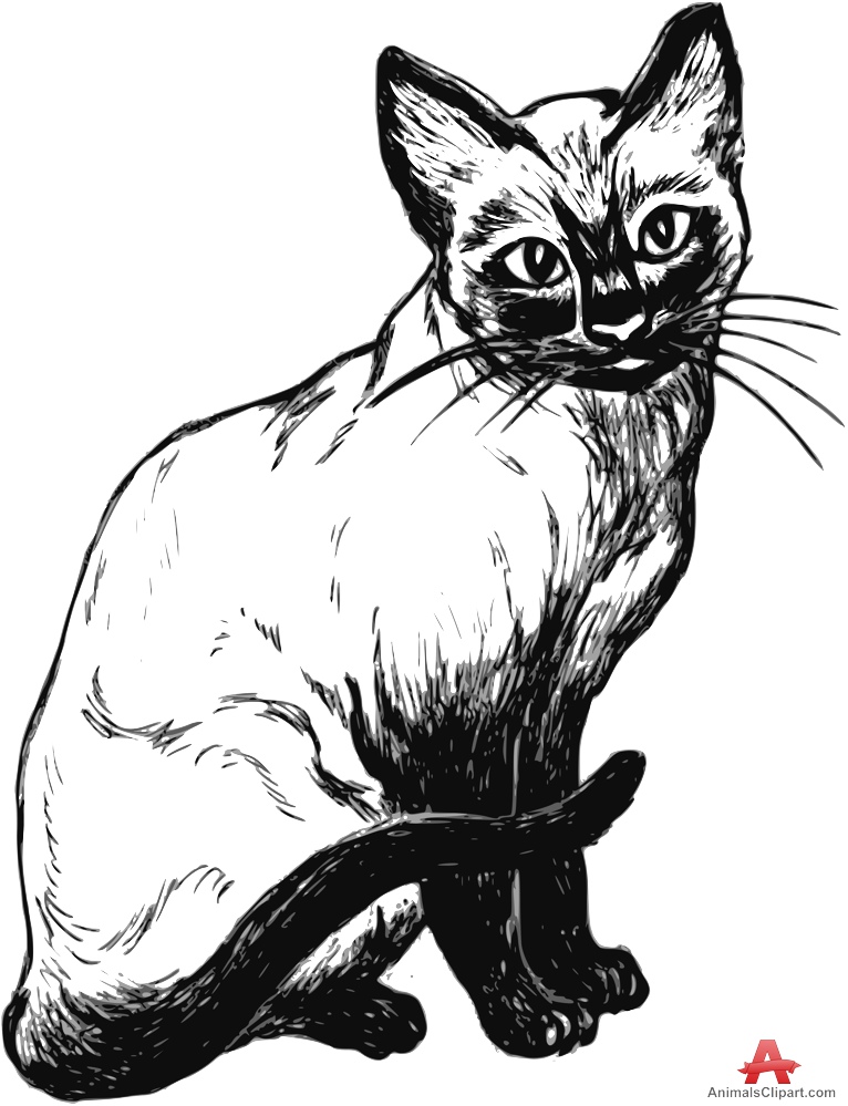 Siamese Kitten Clip Art � Clipart Free Download