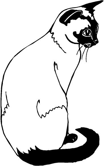 Siamese Cat Drawings