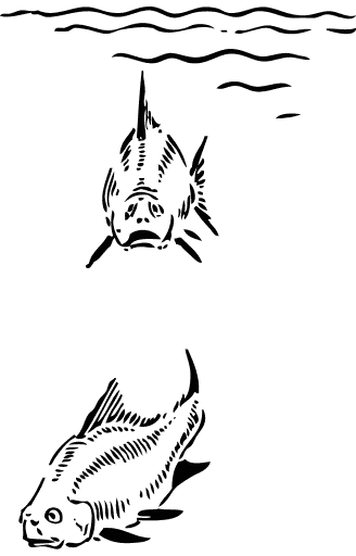 Fish swimming clipart black and white