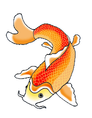 Koi fish clip art